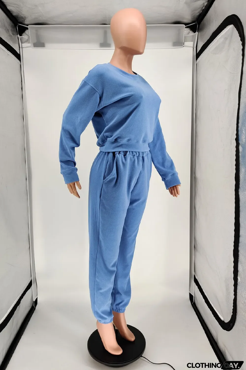 Blue Casual Solid Long Sleeve Two Pieces