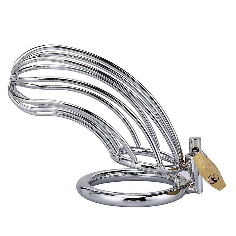 CC10 Steel Chastity Cage 4.3 Inches Long  Weloveplugs