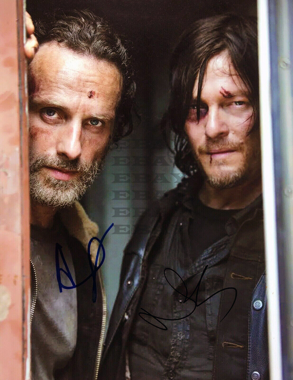 Norman Reedus Andrew Lincoln Autographed Signed 8x10 Photo Poster painting Rep