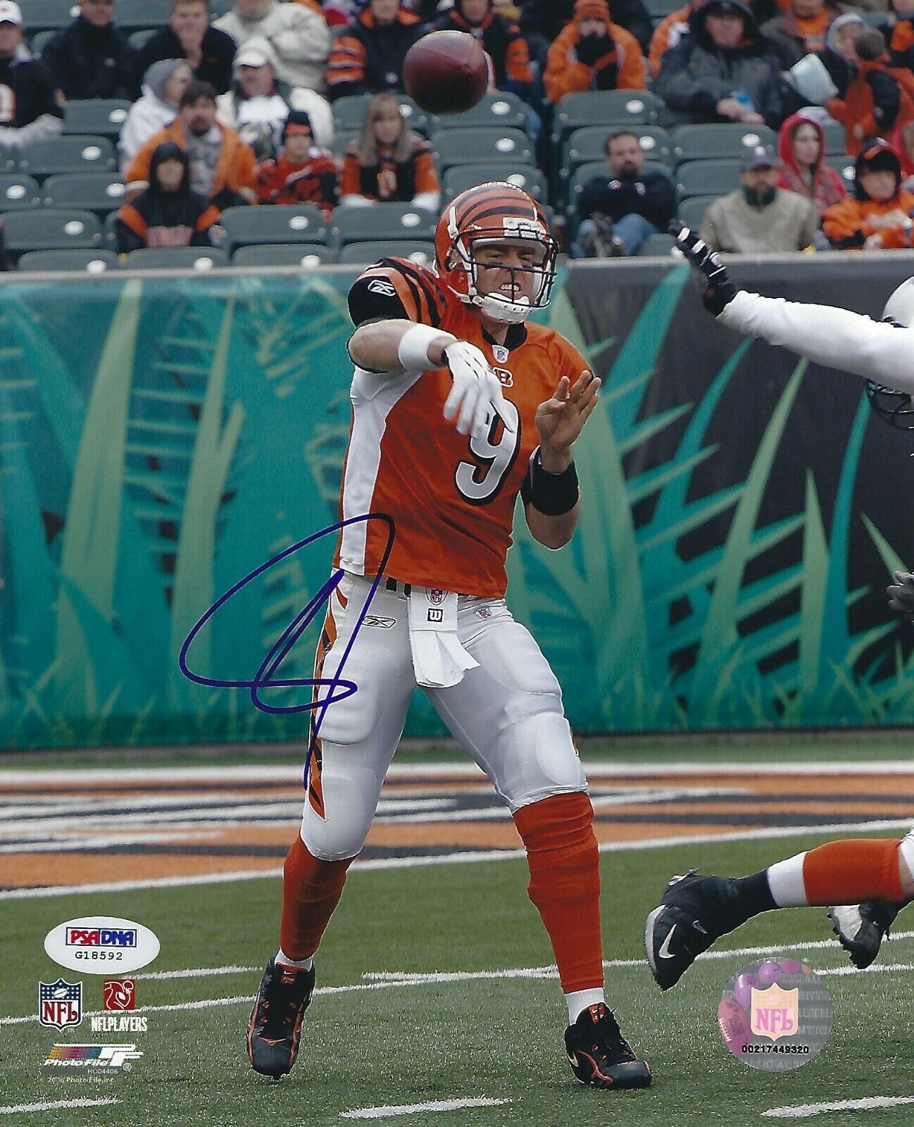 Carson Palmer Signed Bengals Football 8x10 Photo Poster painting PSA/DNA COA Picture Autograph