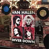 Van Halen - Vintage Metal Signs - 20*30cm/30*40cm - Music