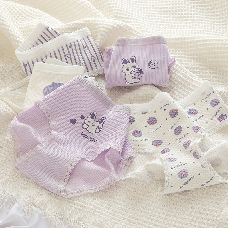 Ddmcloud New 5Pcs/set Cotton Panties Cartoon Girls Briefs Sexy Women Underwear Mid Waist Panty Shorts Lingeries Female Underpants