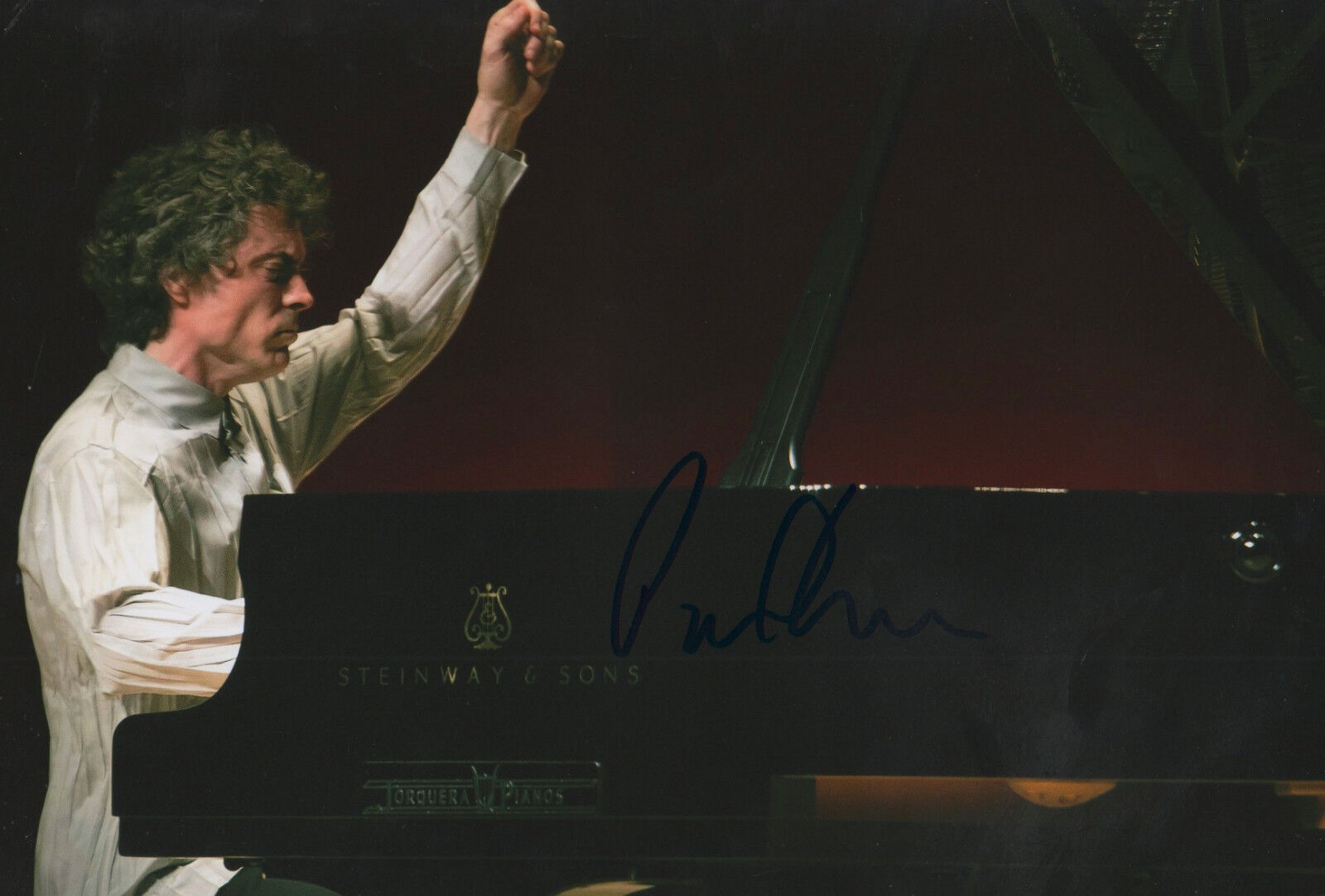 Paul Lewis Pianist signed 8x12 inch Photo Poster painting autograph