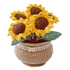 DIY Flower Potted Crochet Kit with Video Tutorial Cute Plants Hand-Knitted Tool