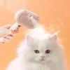 3 in 1 Pet Steam Brush with Release Button Pet Spray Hair Removal Comb Cat Brush