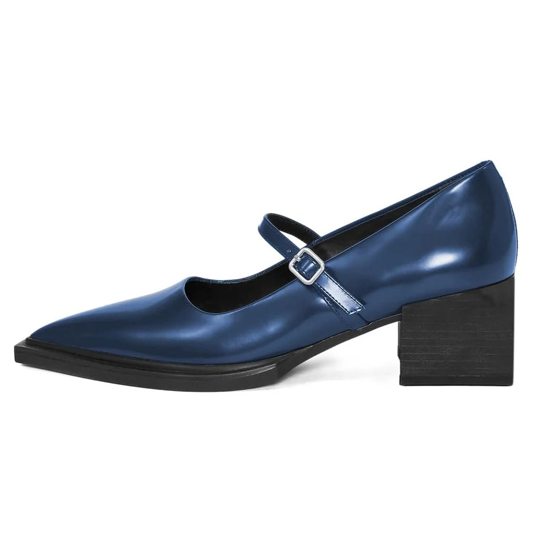 Classic Navy Pointed Toe Chunky Heel Buckle Strap Mary Jane Shoes