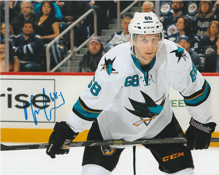 San Jose Sharks Melker Karlsson Signed Autographed 8x10 Photo Poster painting COA