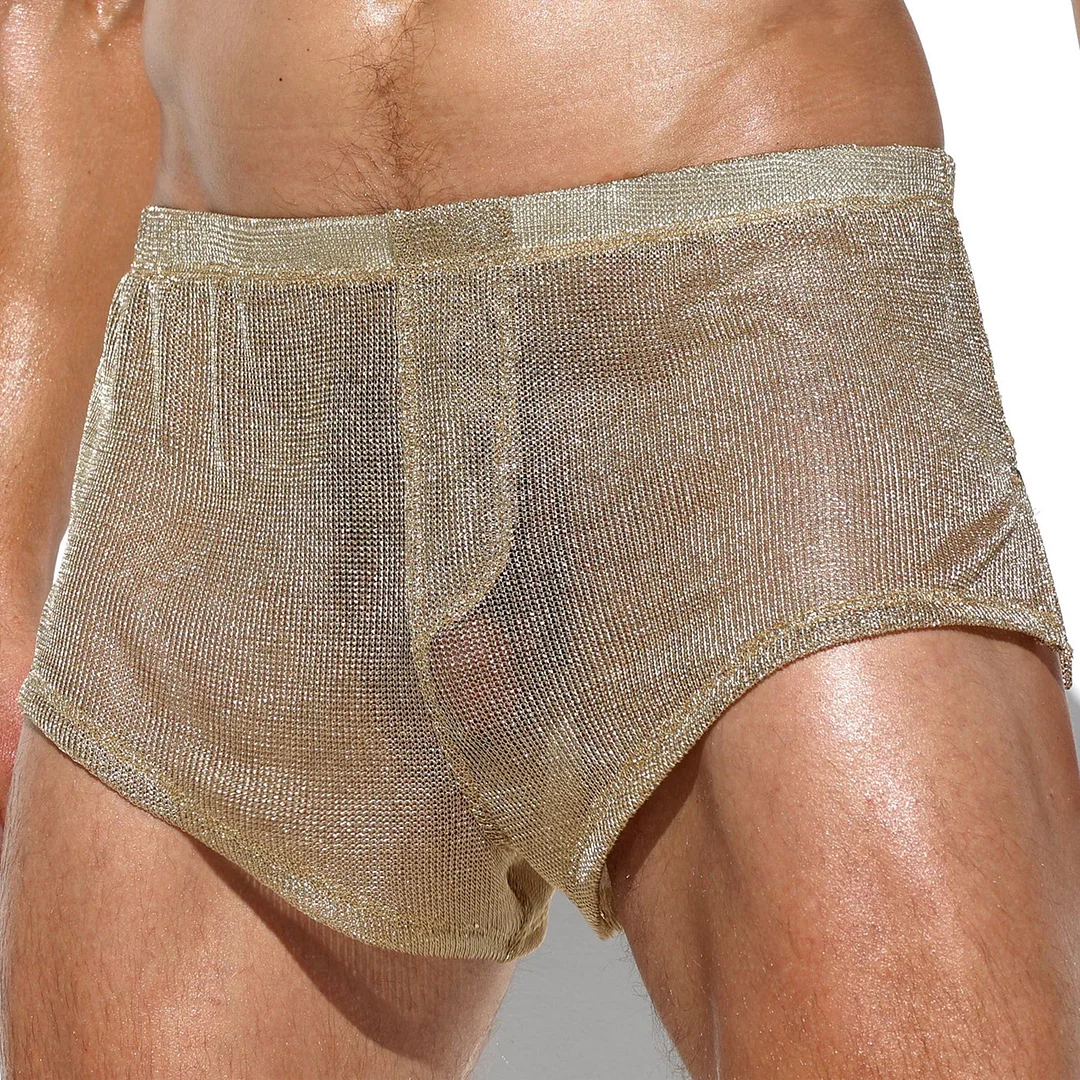 Men's Shiny Vertical Striped Loose Sexy Shorts-inspireuse