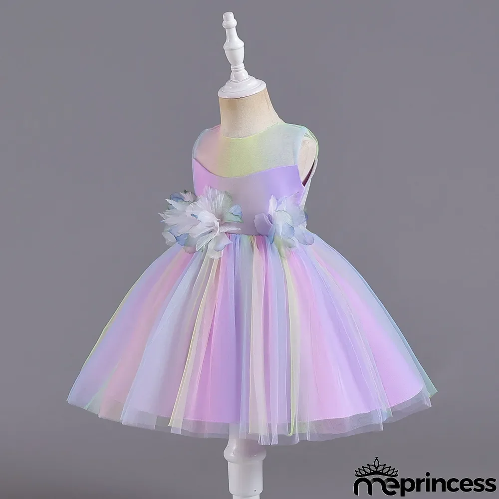 Infant and Toddler Dresses Floral Dress Multi-Color Mesh Pouf Princess Dress