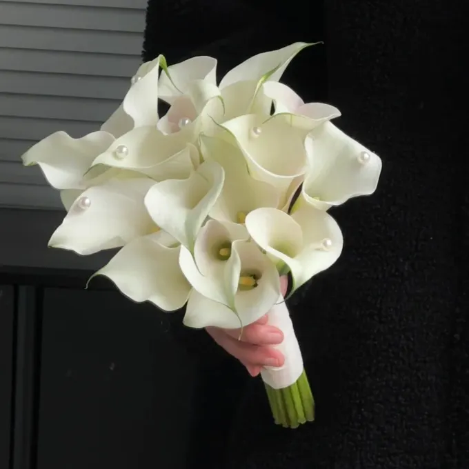 Calla Lily Bulbs – The Magical Bloom That Never Fails