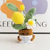 (Finished Product)Crochet Flower Potted Doll with Positive Card Desktop Ornaments, Potted Plants, Bouquets Gift Home Decor