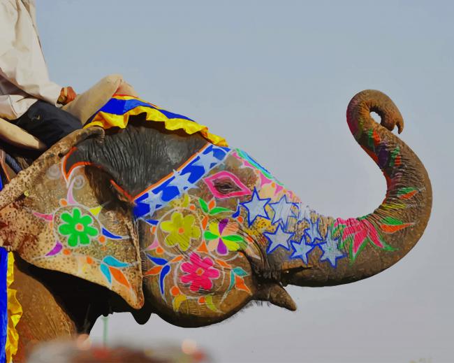 

Colored Elephant – Paint By Numbers - 40*50CM, 501 Original