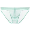 Low Waist Mesh Ultra-thin Transparent Sexy Briefs
