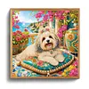 Seaside Maltese Special Shaped 5D DIY Partial Drill Diamond Painting Kits for Adults Beginners Home Decor Diamond Dots Paintings Diamond Art Kit 11.81 x11.81inch