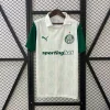 25/26 Palmeiras Soccer Jersey Away