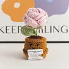 (Finished Product)Crochet Flower Potted Doll with Positive Card Desktop Ornaments, Potted Plants, Bouquets Gift Home Decor