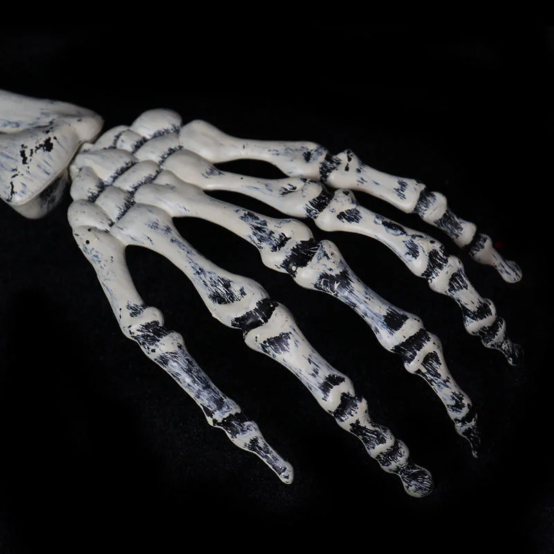 Realistic Skull and Skeleton Arms Stakes Indoor Outdoor Graveyard Best Halloween Yard Decorations