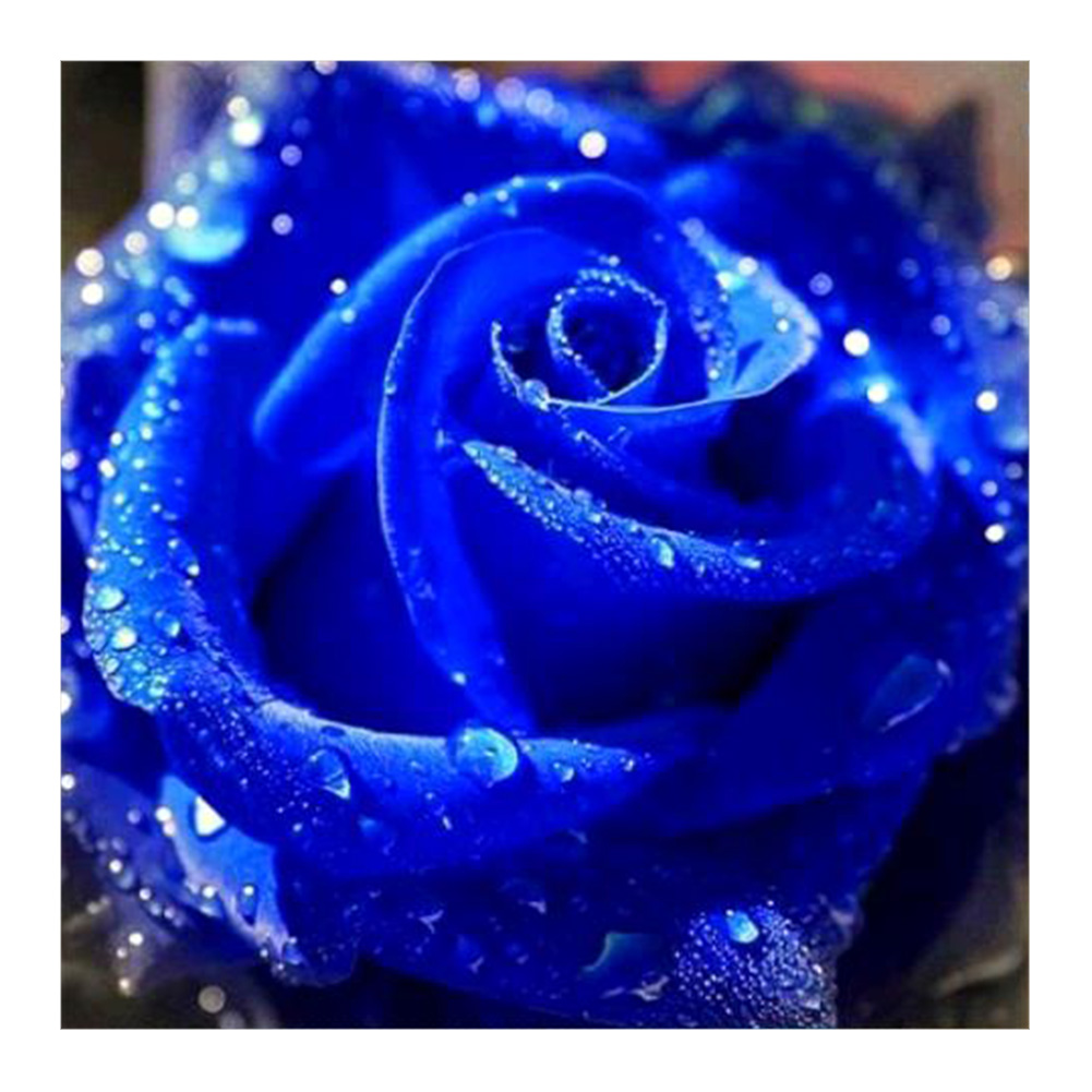 

Blue Rose - Round Drill Diamond Painting - 30*30CM, Round diamond 30*30cm, 501 Original