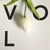Single Head Mini Tulip PU Texture Artificial Flower 