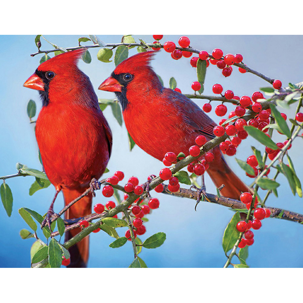 

Bird - Square Drill Diamond Painting - 40*30CM, 501 Original