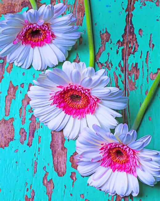 

White Pink Daisies – Paint By Numbers - 40*50CM, 501 Original