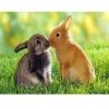 Kissing Rabbit  | Full Round Diamond Painting Kits