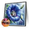 uk.everydayedeals Diamond Painting - Full Round - Hummingbird