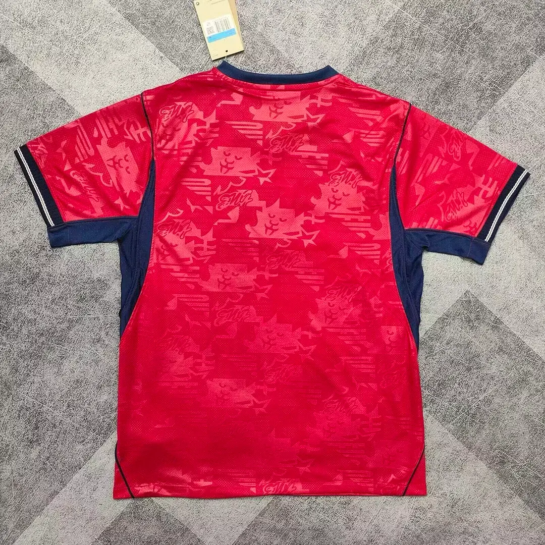2026 England Away Soccer Jersey Thai Quality