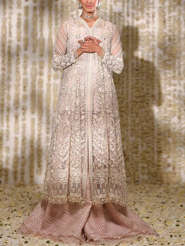 Mesh Embroidered Dress