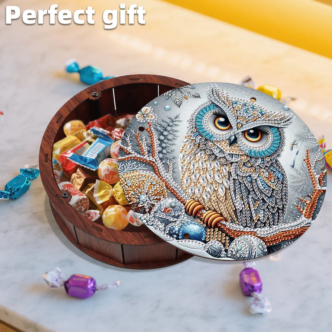 Diamond Painting Round Snack Box Kit Art Decor for Handmade Decor Gifts (Owl)