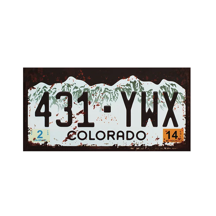 Permis de plaque d’immatriculation de voiture ancienne - 5.9x11.8inch