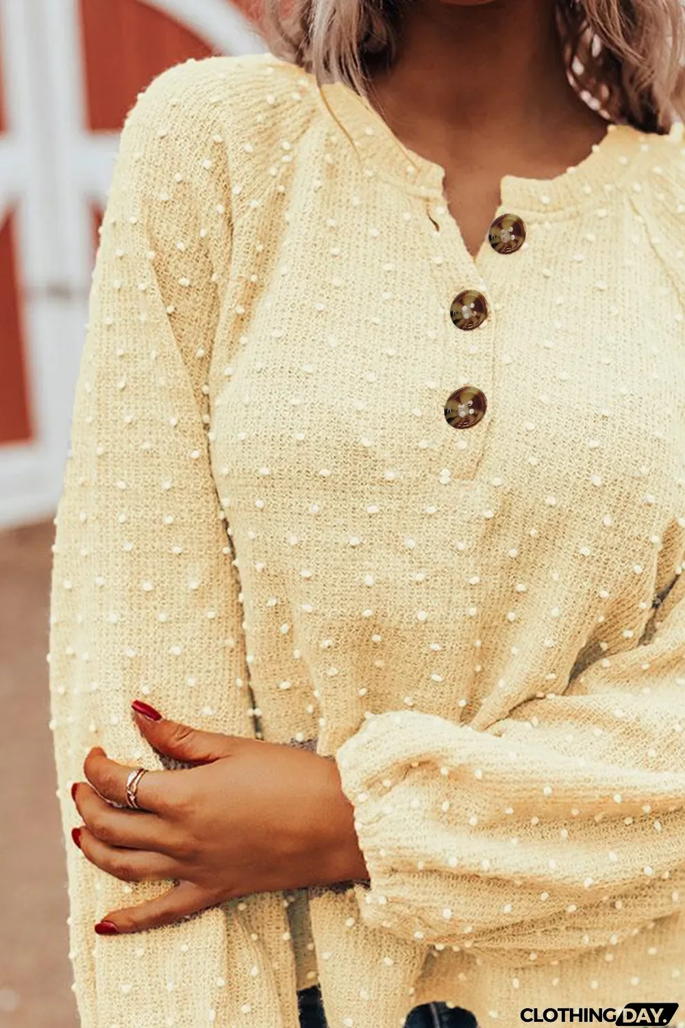 Swiss Dot Raglan Sleeves Knit Top