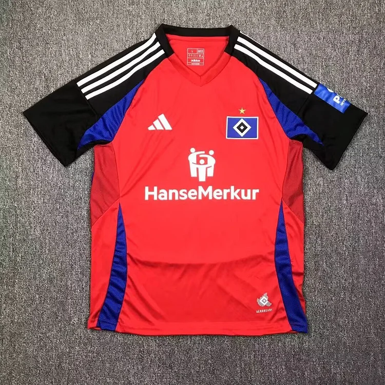 24-25 Hamburg third jersey