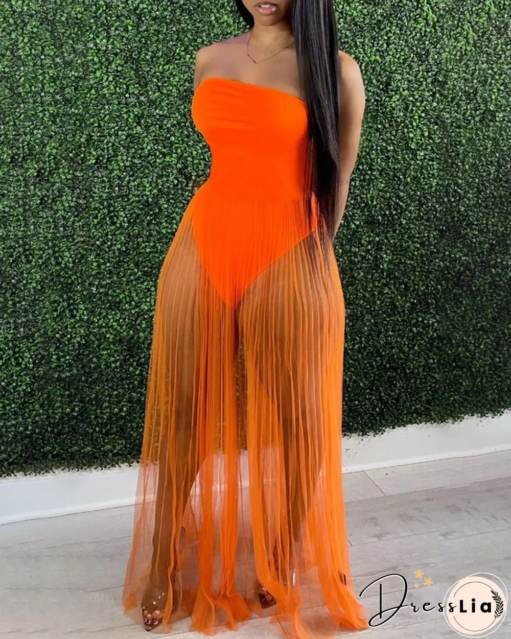Off Shoulder Sleeveless Plain Sheer Mesh Dress
