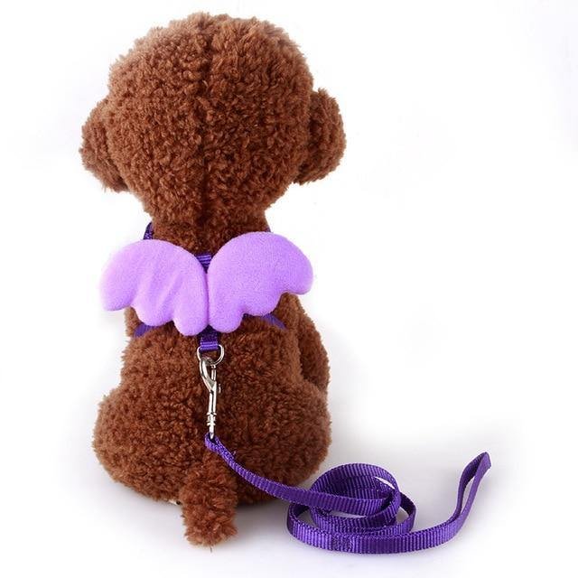 Wings Dog Harness and Leash