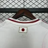 2024 Japan Soccer Jersey Away