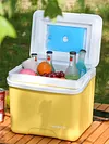 15L Camping Cooler Box Insulated Ice Chest Portable Ice Bucket for Outdoor Use