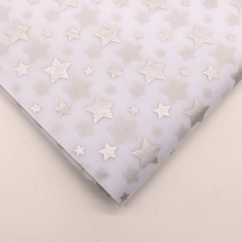 Fashion Color Copy Paper 10 Sheets