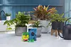 Garden Water Soluble All Purpose Plant Food Nutrients