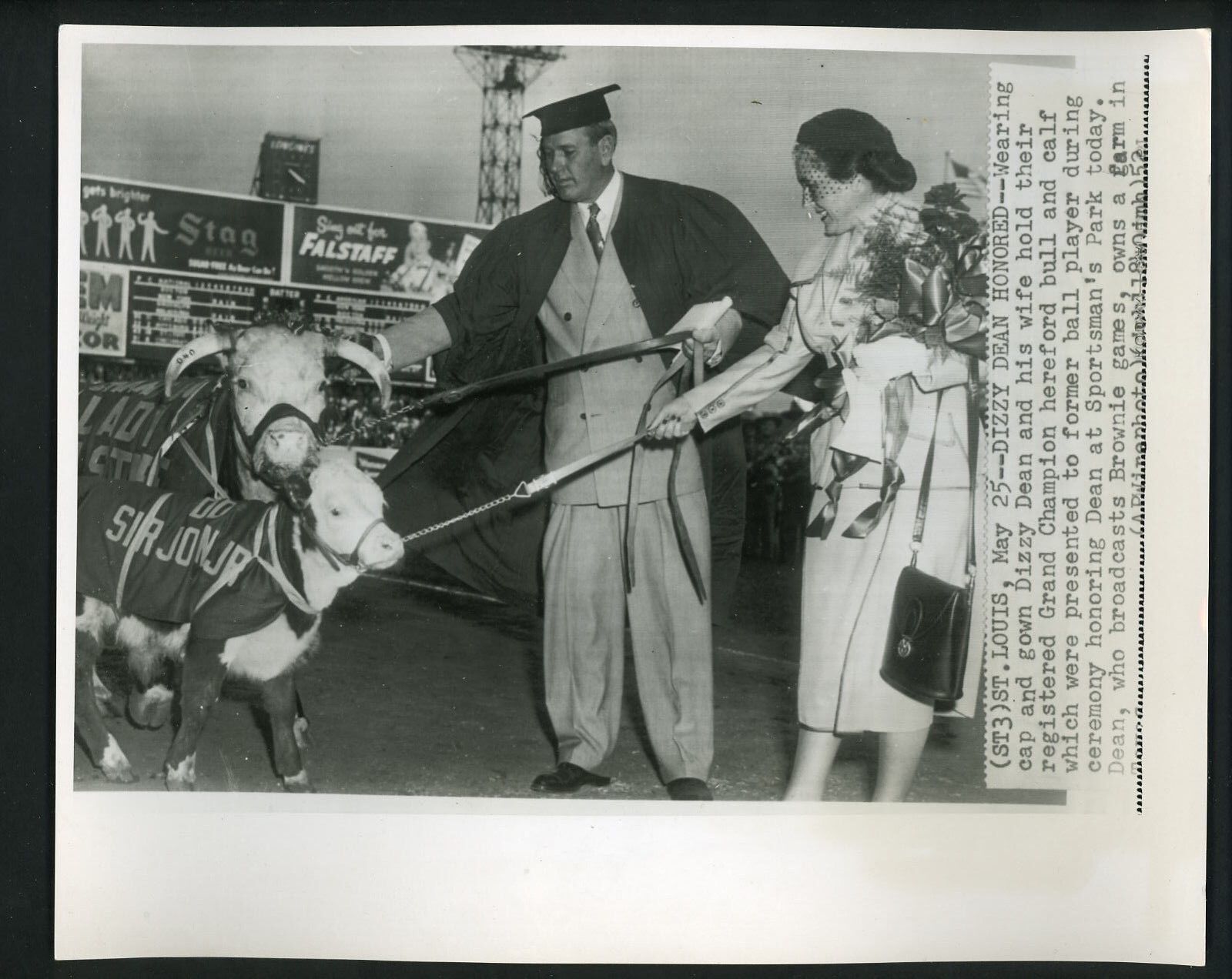 Dizzy Dean Day at Sportsman's Park 1952 Press Photo Poster painting with hereford bull Cardinals