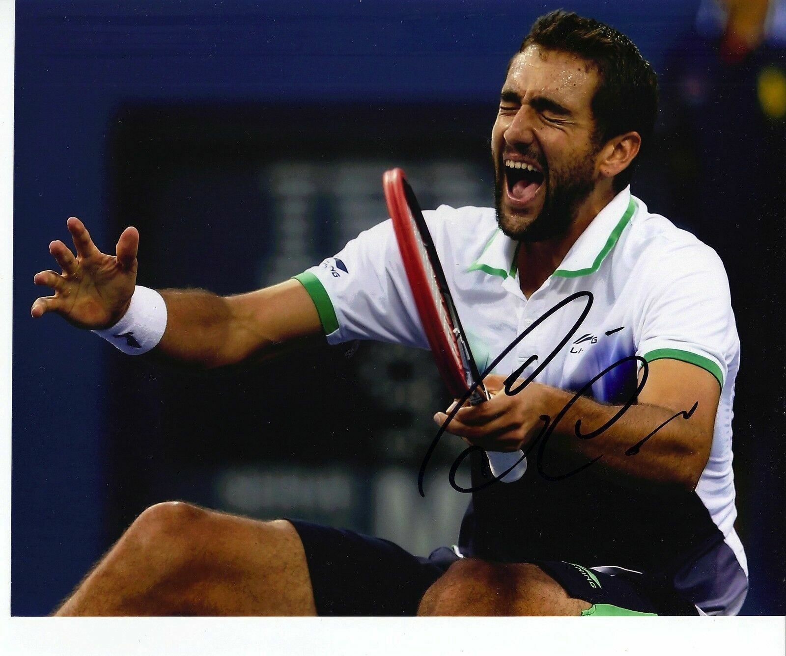 Marin Cilic Genuine Hand Signed Autograph 10X8 Photo Poster painting 2014 U.S Open (A)