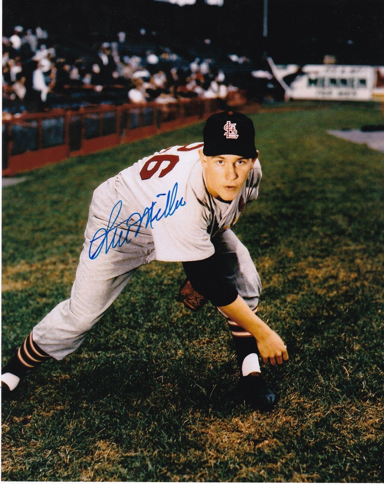 STU MILLER ST. LOUIS CARDINALS ACTION SIGNED 8x10