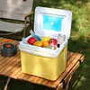 15L Camping Cooler Box Insulated Ice Chest Portable Ice Bucket for Outdoor Use