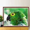 uk.everydayedeals (Limited Stock)Diamond Painting - Full Square - Eagle