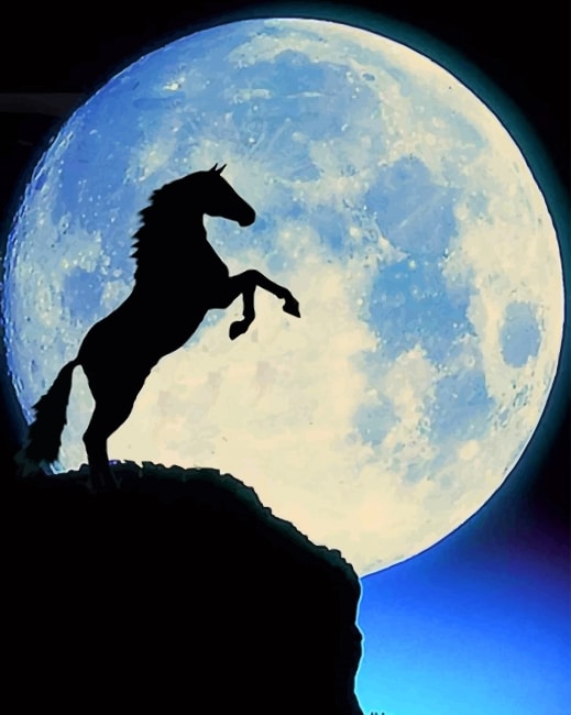 

Horse Moon – Paint By Numbers - 40*50CM, 501 Original