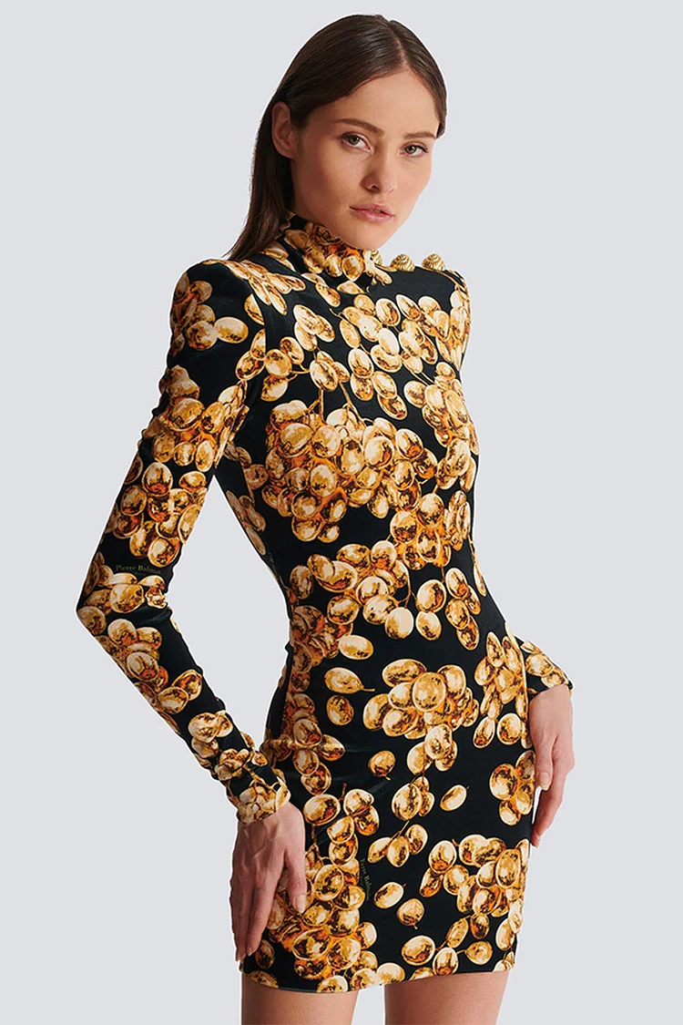 Velvet Gold Print High Neck Long Sleeve Mini Dress-Black And Gold
