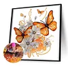 >SALE<5D DIY Partial Special Shaped Drill Diamond Painting Butterfly Decor 30x30cm