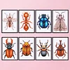 8pcs Insect DIY Mini Round Diamond Painting Set 12x17cm