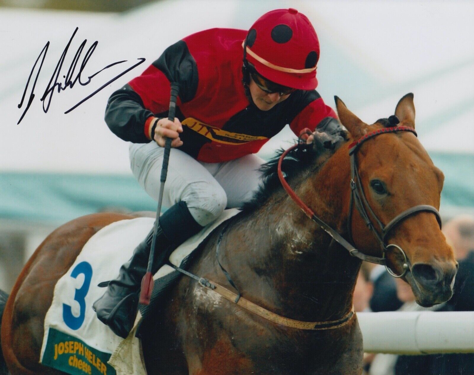 Graham Gibbons Hand Signed 10x8 Photo Poster painting - Horse Racing Autograph.