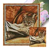 (US Only)Cat Stamped Cross Stitch Kit for Beginner Home DIY 14CT Embroidery Kit 44x50cm